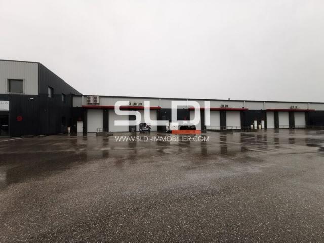 Locaux d'activités A LOUER - SAINT QUENTIN FALLAVIER - 341 m²