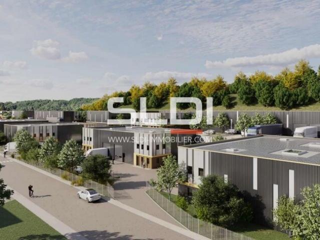 Locaux d'activités A VENDRE - CHAPONOST - 8 930 m²