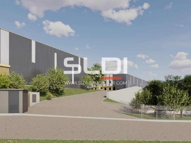 Locaux d'activités A VENDRE - CHAPONOST - 8 930 m²