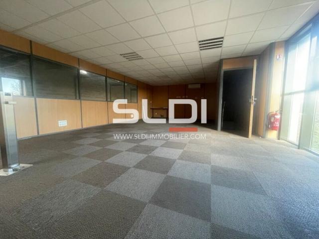 Locaux d'activités A VENDRE - CHAPONOST - 420 m²