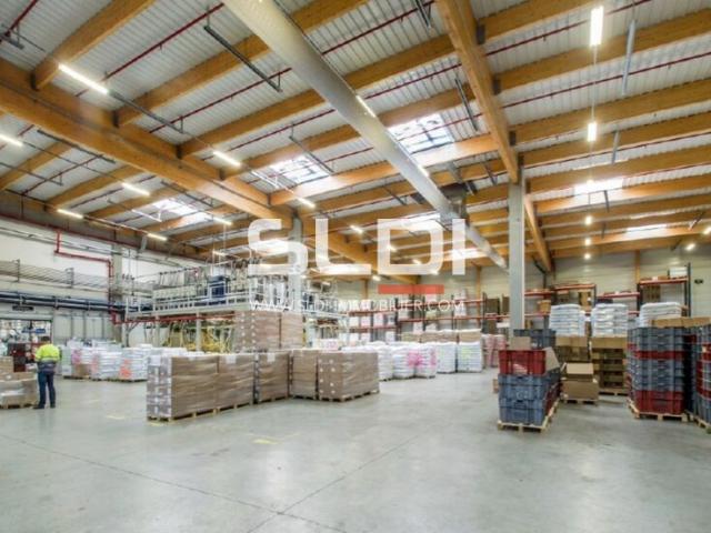 Locaux d'activités A VENDRE - NEUVILLE SUR SAONE - 1 250 m²