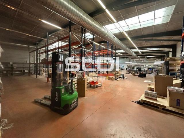 Locaux d'activités A LOUER - CHAMPAGNE AU MONT D'OR - 1 735 m²