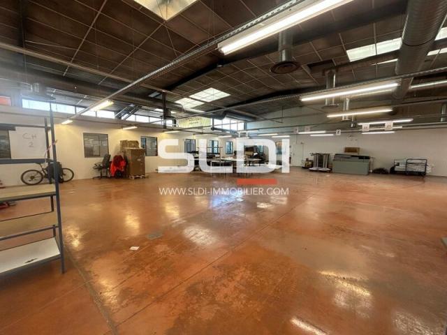 Locaux d'activités A LOUER - CHAMPAGNE AU MONT D'OR - 1 735 m²