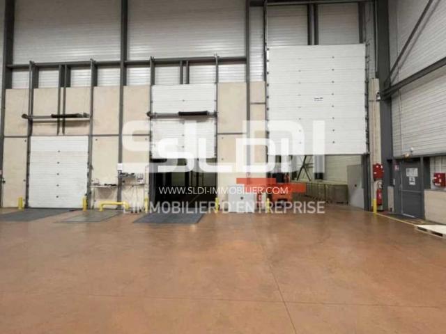 Locaux d'activités A VENDRE - LOZANNE - 4 775 m²