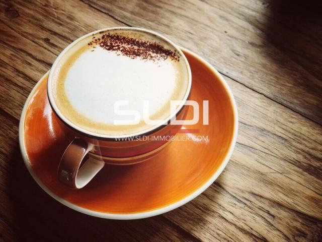 Commerces A LOUER - NEUVILLE SUR SAONE - 120 m²