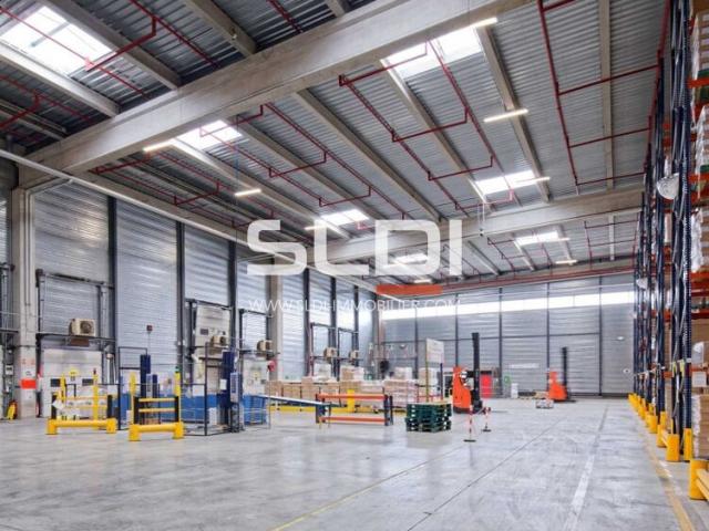 Locaux d'activités A LOUER - MIONS - 25 946 m²