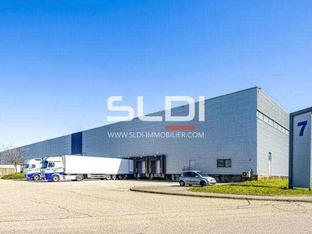 Locaux d'activités A LOUER - MIONS - 25 946 m²