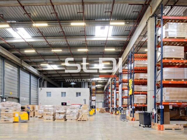 Locaux d'activités A LOUER - MIONS - 25 946 m²