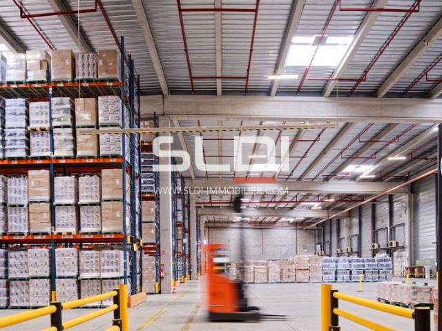 Locaux d'activités A LOUER - MIONS - 25 946 m²