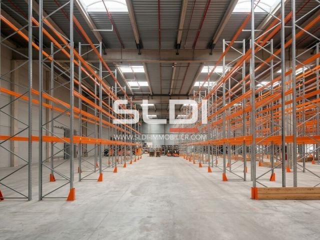 Locaux d'activités A LOUER - MIONS - 15 717 m²