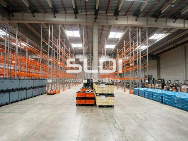 Locaux d'activités A LOUER - MIONS - 15 717 m²