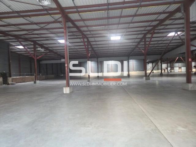 Locaux d'activités A LOUER - SAINT CHAMOND - 8 439 m²