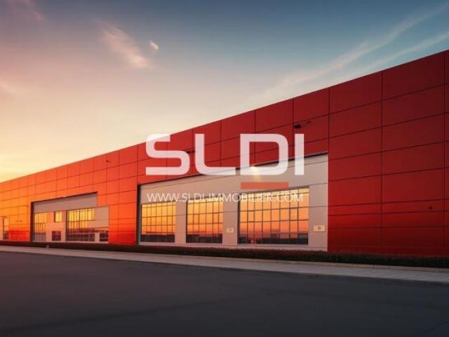 Locaux d'activités A VENDRE - CORBAS - 4 000 m²