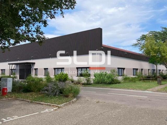 Locaux d'activités A LOUER - VENISSIEUX - 1 694 m²