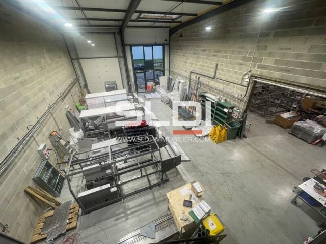Locaux d'activités A VENDRE OU A LOUER - TREVOUX - 464 m²