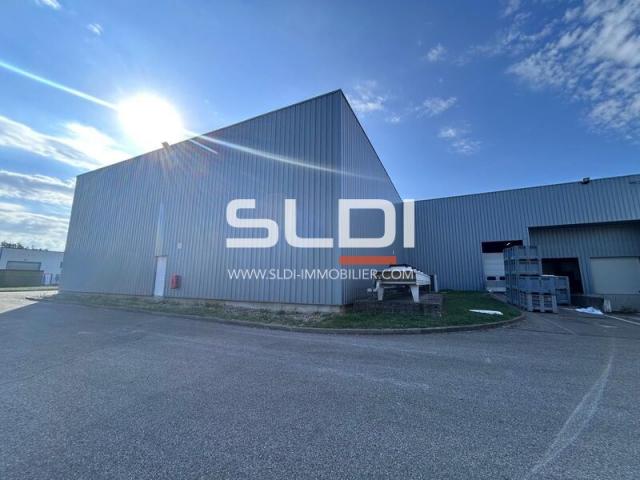 Locaux d'activités A VENDRE - LES ÉCHETS - 4 223 m²