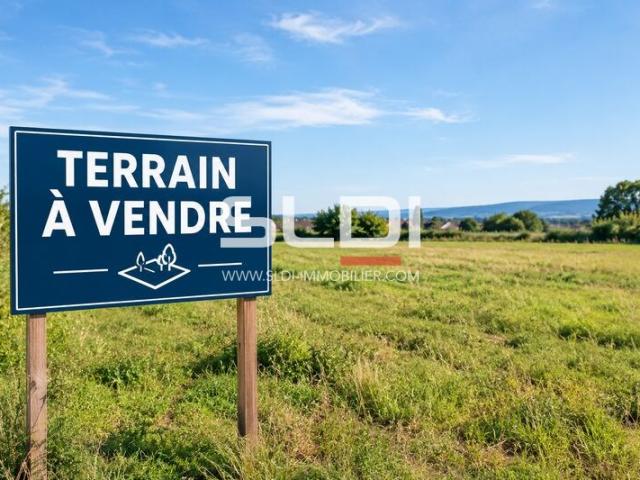Terrains A VENDRE - AMBERIEUX - 11 445 m²