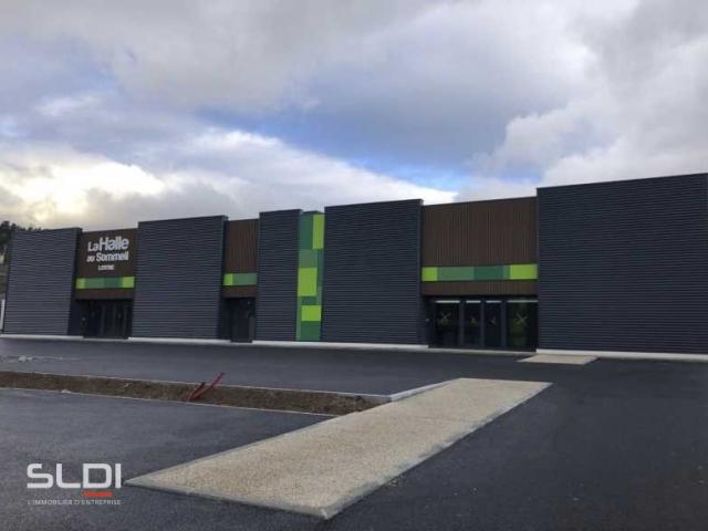 Commerces A VENDRE OU A LOUER - ANSE - 1 024 m²