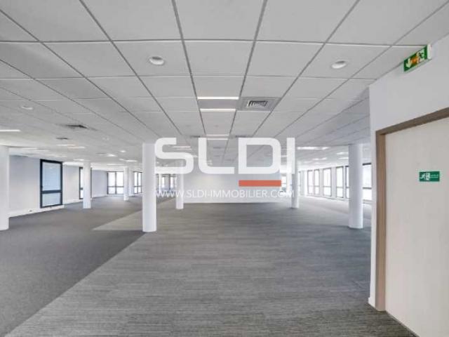 Bureaux A LOUER - VILLEURBANNE - 5 714 m²