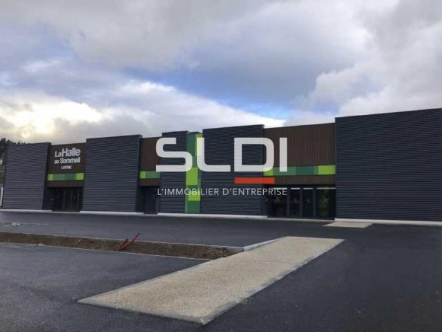 Commerces A VENDRE OU A LOUER - ANSE - 2 171 m²