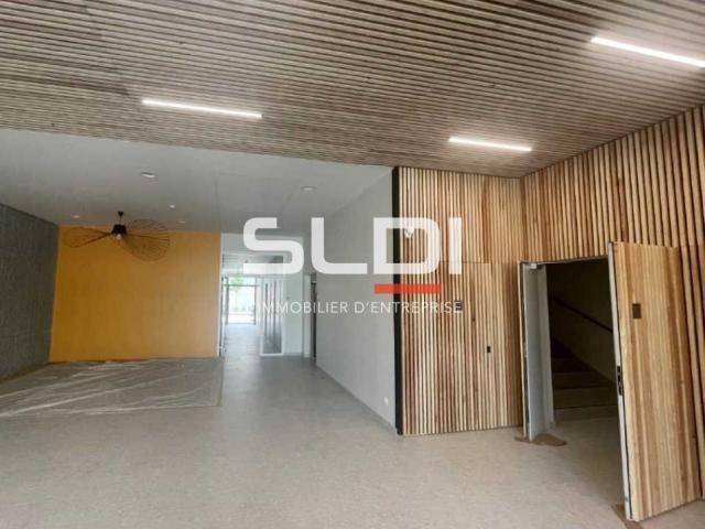 Bureaux A VENDRE OU A LOUER - VILLEURBANNE - 545 m²