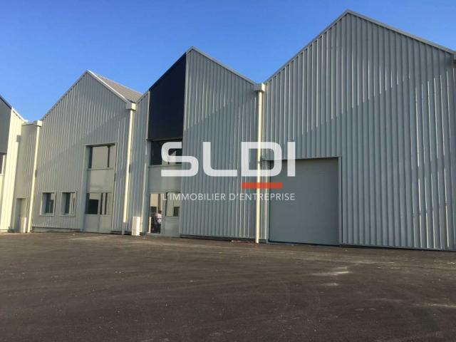 Locaux d'activités A LOUER - GENAS - 244 m²