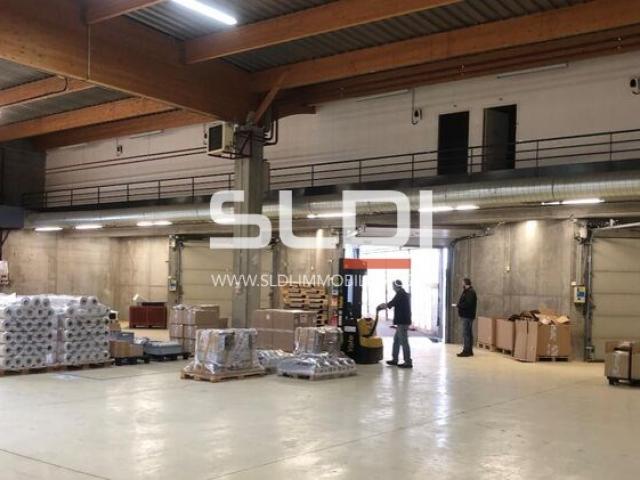 Locaux d'activités A VENDRE OU A LOUER - DECINES CHARPIEU - 3 804 m²