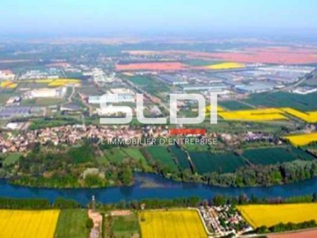 Terrains A VENDRE - SAINT VULBAS - 10 000 m²