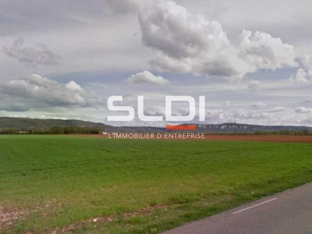 Terrains A VENDRE - SAINT VULBAS - 10 000 m²