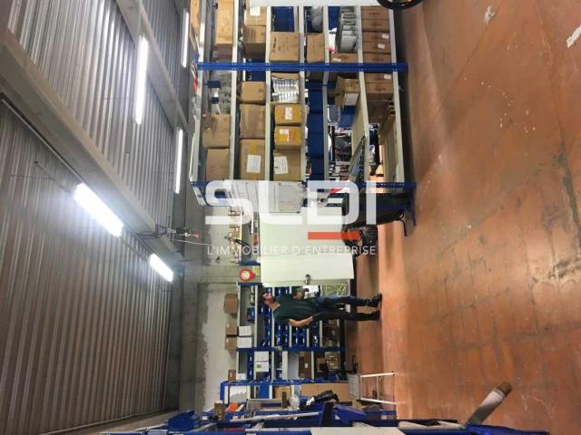 Bureaux A LOUER - VILLEURBANNE - 1 568 m²