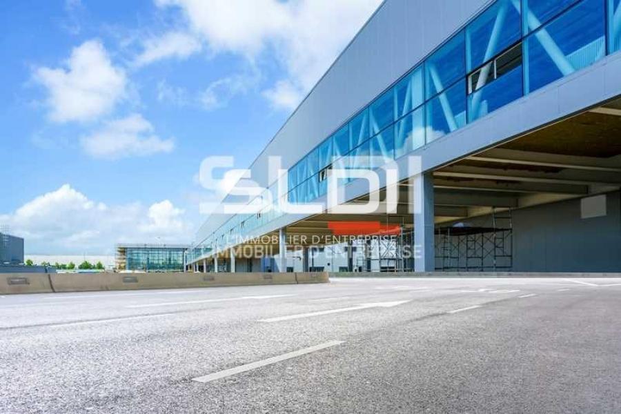 Activités A LOUER - CHASSIEU - 5 000 m²