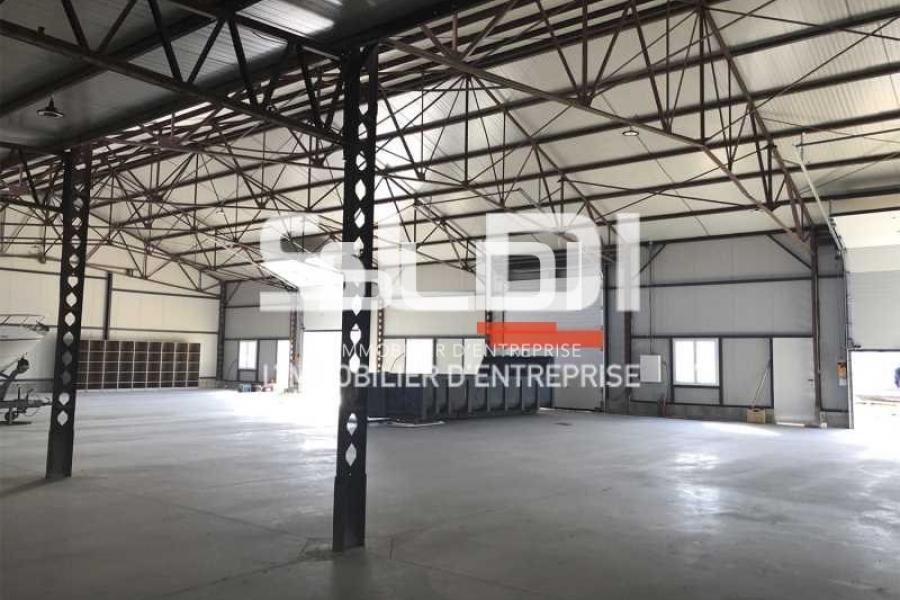 Bureaux A LOUER - VILLEURBANNE - 1 375 m²
