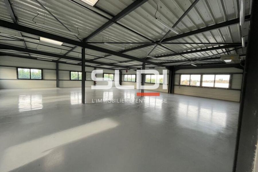 Bureaux A VENDRE OU A LOUER - GUEREINS - 391 m²