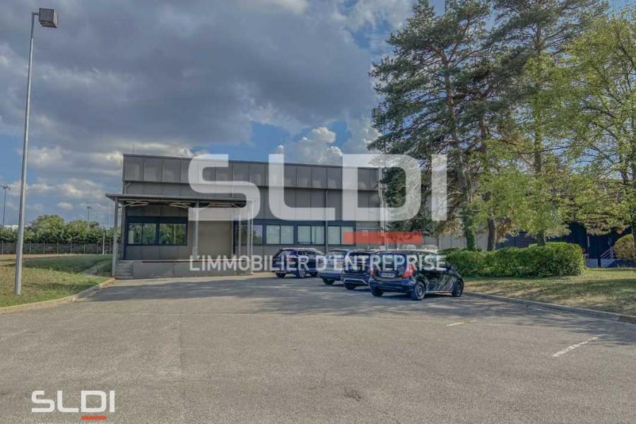 Bureaux A LOUER - RILLIEUX LA PAPE - 980 m²