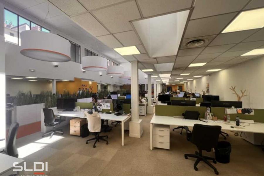 Bureaux A LOUER - LYON - 828 m²