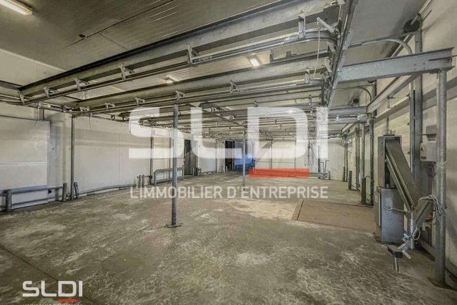 Activités A LOUER - SAINT SYMPHORIEN D'OZON - 1 200 m²