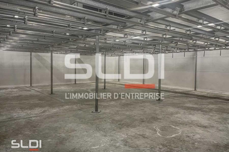 Activités A LOUER - SAINT SYMPHORIEN D'OZON - 1 200 m²