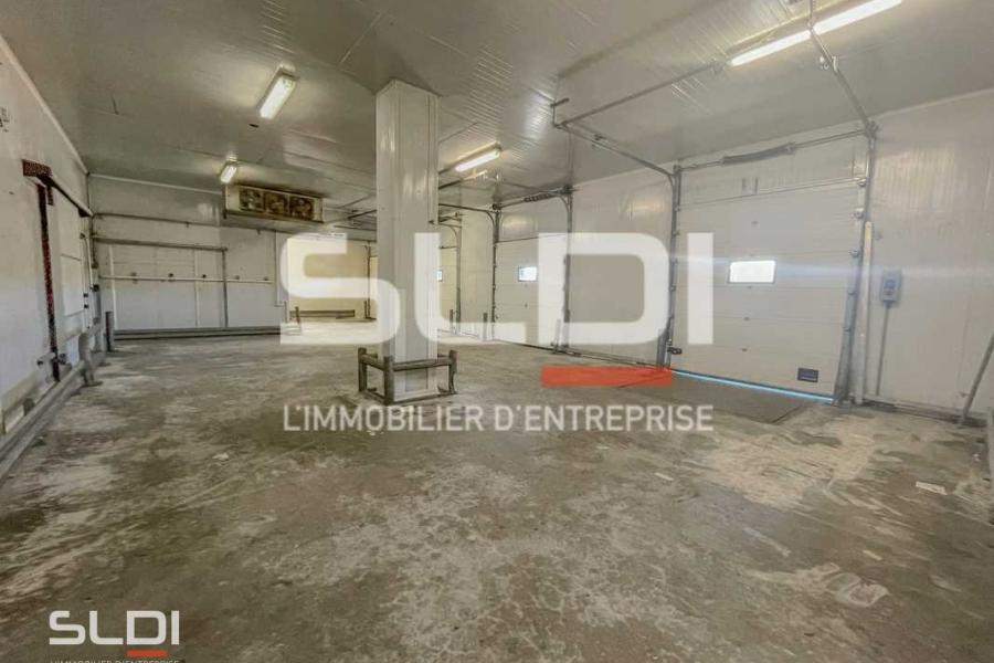 Activités A LOUER - SAINT SYMPHORIEN D'OZON - 1 200 m²