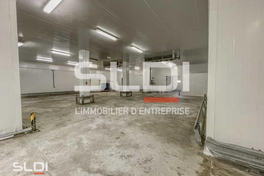 Activités A LOUER - SAINT SYMPHORIEN D'OZON - 1 200 m²