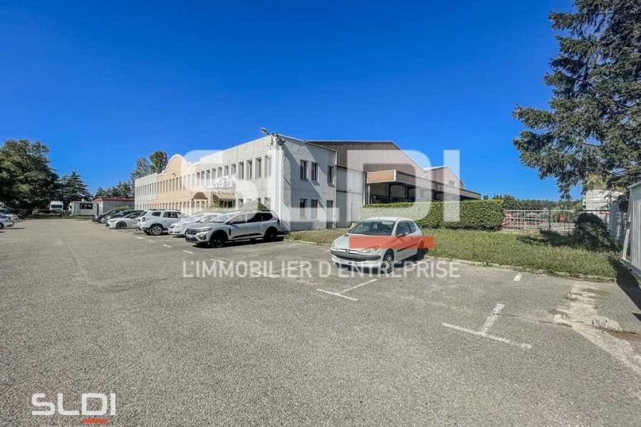 Activités A LOUER - SAINT SYMPHORIEN D'OZON - 1 200 m²