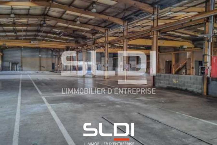 Activités A VENDRE - SAINT JEAN BONNEFONDS - 2 800 m²