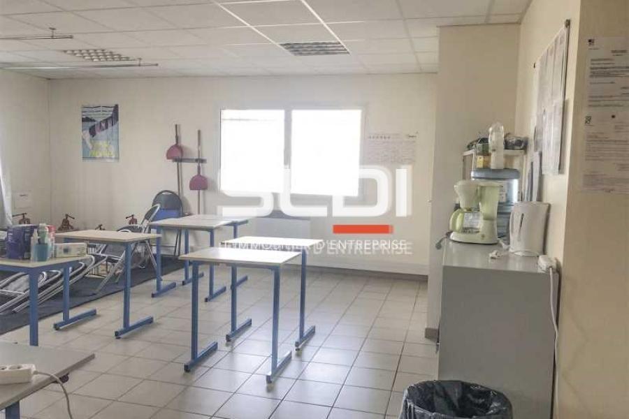 Albatros Lot 1 Albatros Lot 1