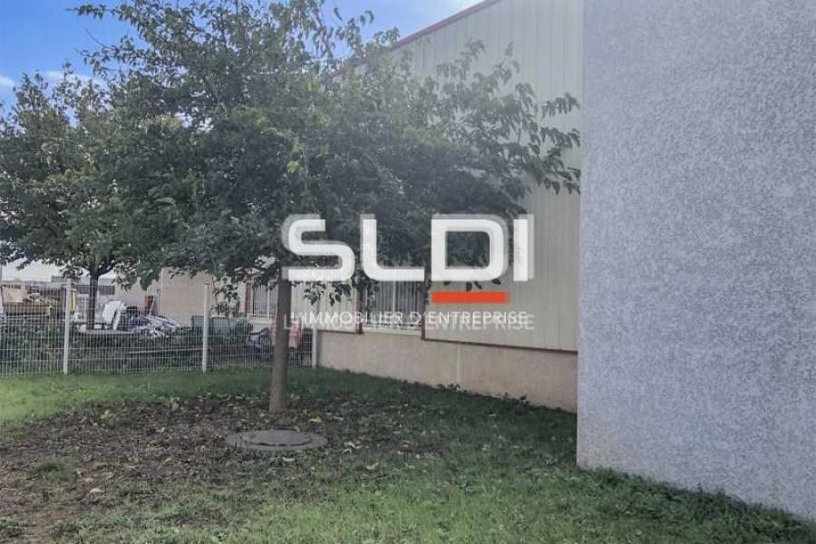 Albatros Lot 1 Albatros Lot 1