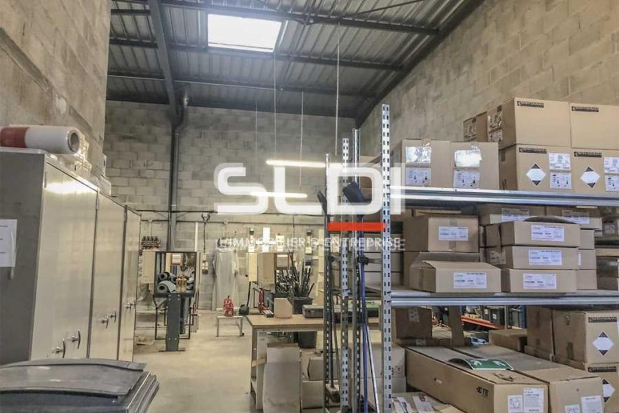 Albatros Lot 1 Albatros Lot 1