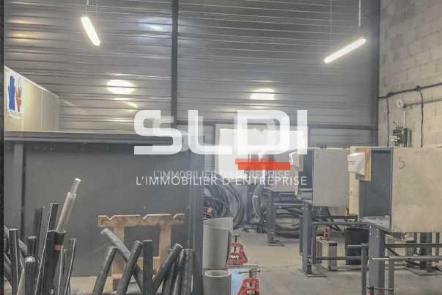 Albatros Lot 1 Albatros Lot 1