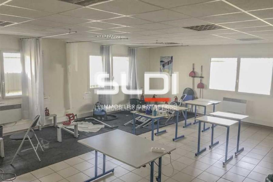 Albatros Lot 1 Albatros Lot 1