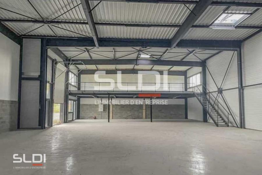 Activités A VENDRE OU A LOUER - FRANS - 538 m²