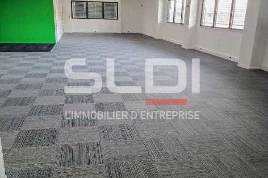 Activités A LOUER - DARDILLY - 686 m²