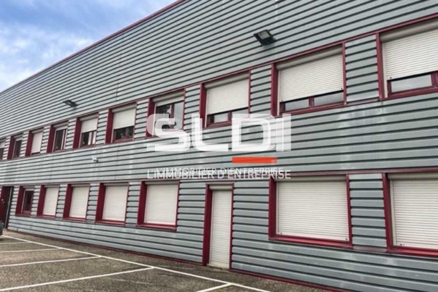 Bureaux A LOUER - CALUIRE ET CUIRE - 85 m²