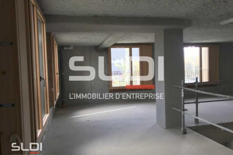 Bureaux A LOUER - VILLEURBANNE - 243 m²